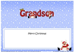 Large DL Merry Christmas GRANDSON insert