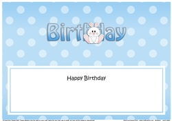 Large DL HAPPY BIRTHDAY insert