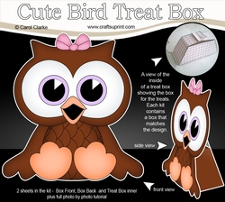 3D Cute Bird Treat Box Gift Set Mini Kit - Cute Little Olive Owl