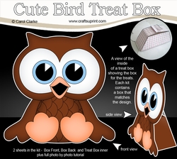 3D Cute Bird Treat Box Gift Set Mini Kit - Cute Little Orson Owl