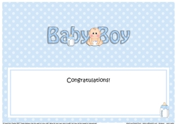 Large DL NEW BABY BOY insert
