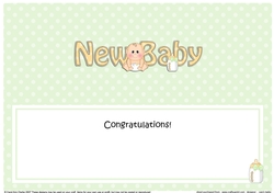 Large DL BABY BOY insert