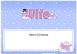 Large DL Merry Christmas WIFE insert