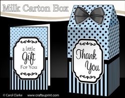 3D Spots & Stripes Milk Carton Treat Box Mini Kit