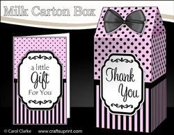 3D Spots & Stripes Milk Carton Treat Box Mini Kit