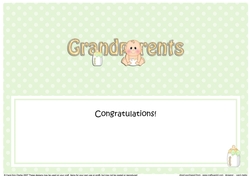 Large DL TO THE PROUD NEW GRANDPARENTS insert