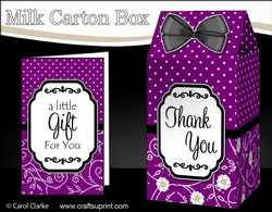 3D Spots & Flowers Milk Carton Treat Box Mini Kit