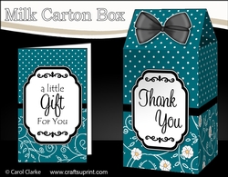 3D Spots & Flowers Milk Carton Treat Box Mini Kit