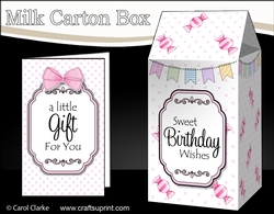 3D Sweet Treats Milk Carton Treat Box Mini Kit