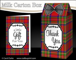 3D Tartan Milk Carton Treat Box Mini Kit