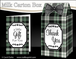 3D Tartan Milk Carton Treat Box Mini Kit