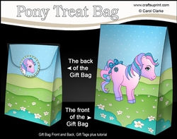 3D Gift Bag Mini Kit - Cute Little Pony Kandy