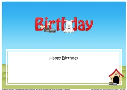 Large DL HAPPY BIRTHDAY insert