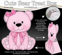3D Cute Bear Treat Box Gift Set Mini Kit - Cute Little Bliss Bear