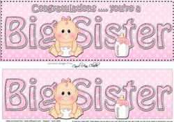 Large DL CONGRATULATIONS ... YOURE A BIG SISTER 3D decoupage