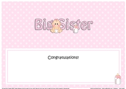 Large DL CONGRATULATIONS ... YOURE A BIG SISTER insert