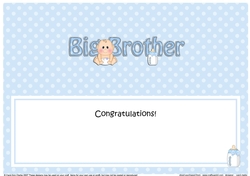 Large DL CONGRATULATIONS ... YOURE A BIG BROTHER insert