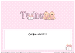 Large DL CONGRATULATIONS ... ON YOUR BEAUTIFUL TWINS insert