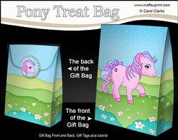 3D Gift Bag Mini Kit - Cute Little Pony Princess