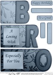 Bro Elegant Metallic Book Sheet