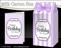3D Candy Stripe Milk Carton Treat Box Mini Kit