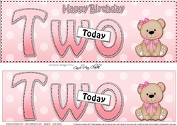 Large DL Happy Birthday TWO TODAY 3D decoupage