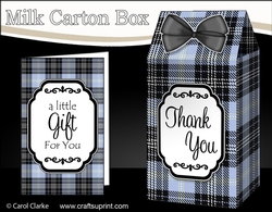 3D Tartan Milk Carton Treat Box Mini Kit