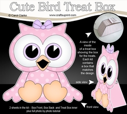 3D Cute Bird Treat Box Gift Set Mini Kit - Cute Little Olla Owl