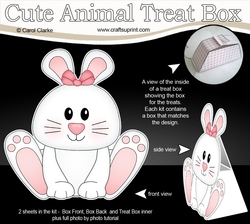 3D Cute Animal Treat Box Gift Set Mini Kit - Cute Little Ipsy Bunny