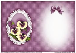 Pansy, Lace and Pearls Matching Insert A5 Portrait