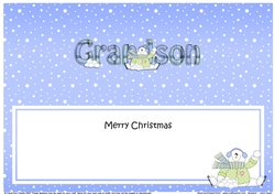 Large DL Merry Christmas GRANDSON insert