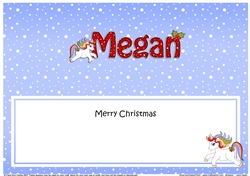 Large DL Merry Christmas MEGAN insert