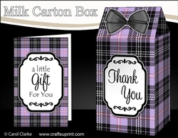 3D Tartan Milk Carton Treat Box Mini Kit