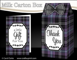 3D Tartan Milk Carton Treat Box Mini Kit
