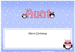 Large DL Merry Christmas AUNT insert