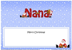 Large DL Merry Christmas NANA insert
