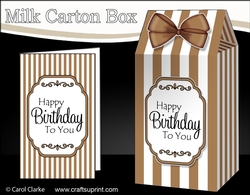 3D Candy Stripe Milk Carton Treat Box Mini Kit