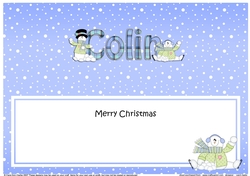 Large DL Merry Christmas COLIN insert