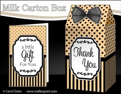 3D Spots & Stripes Milk Carton Treat Box Mini Kit