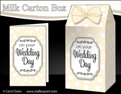 3D Wedding Hearts Milk Carton Treat Box Mini Kit