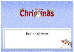Large DL BABYS FIRST CHRISTMAS insert