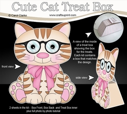 3D Cute Cat Treat Box Gift Set Mini Kit - Cute Little Cat Sydney