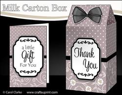 3D Spots & Flowers Milk Carton Treat Box Mini Kit