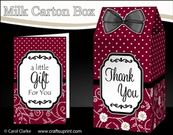 3D Spots & Flowers Milk Carton Treat Box Mini Kit