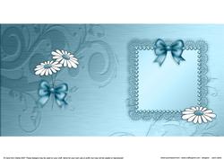 Daisies and Metallic Lace Matching Insert Square Portrait
