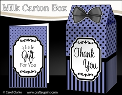 3D Spots & Stripes Milk Carton Treat Box Mini Kit