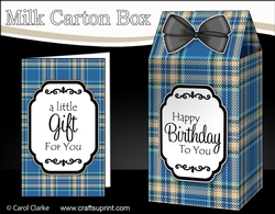 3D Tartan Milk Carton Treat Box Mini Kit