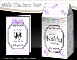 3D Sweet Treats Milk Carton Treat Box Mini Kit
