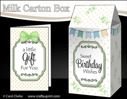 3D Sweet Treats Milk Carton Treat Box Mini Kit