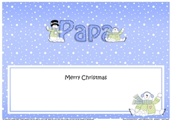 Large DL Merry Christmas PAPA insert